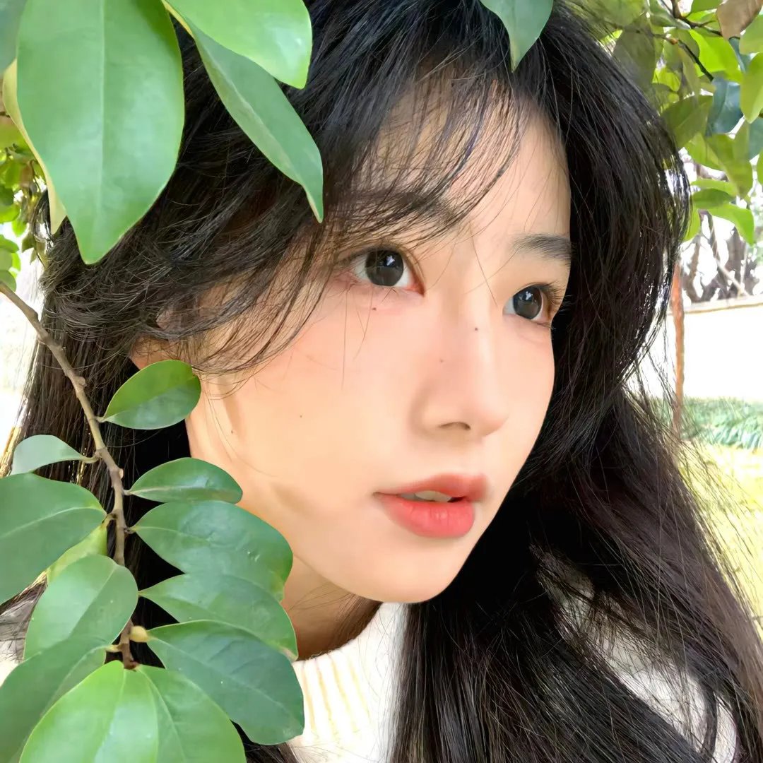 生存回圈